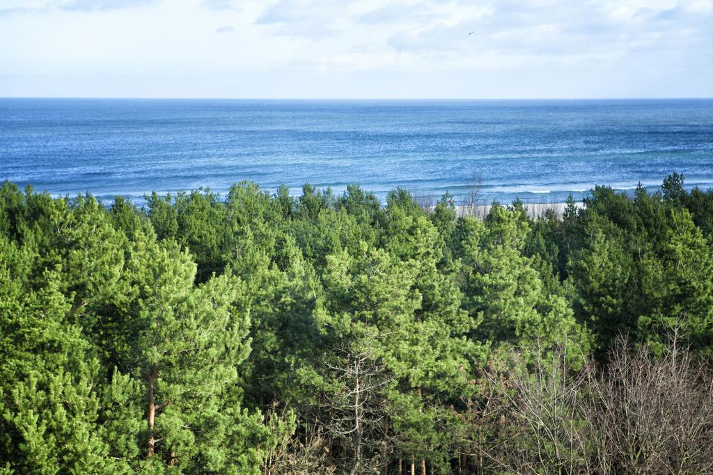 Velapart Władysławowo